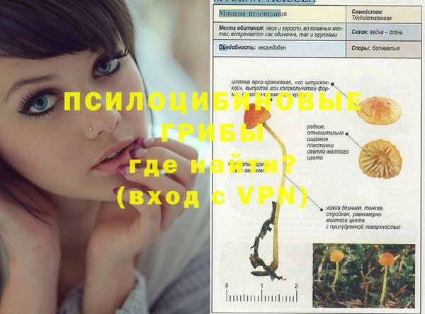ALPHA PVP Арсеньев